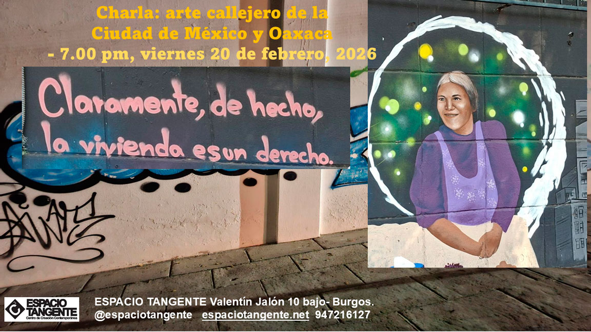 Arte callejero México y Oaxaca. 2026.